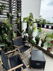Seaside Residences (D15), Apartment #455467041